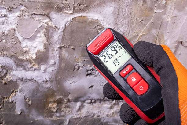 Certified Mold Removal in Midway, AR