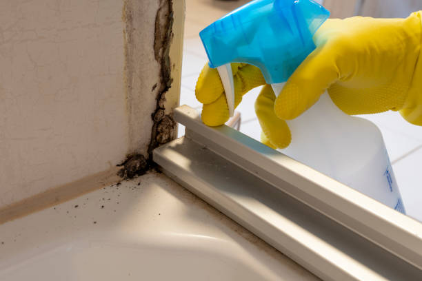 Crawl Space Mold Removal in Midway, AR