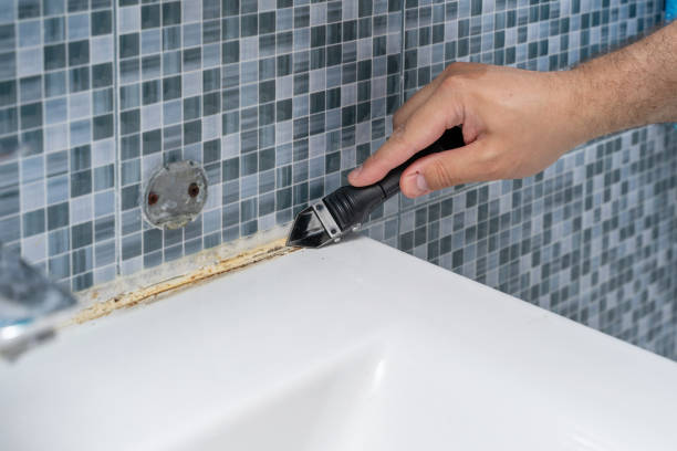 Best Attic Mold Removal  in Midway, AR